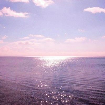 枫叶手游青云诀2下载