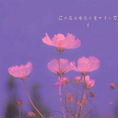 绘画学院游戏(暂未上线)v1.4.4.8 安卓版